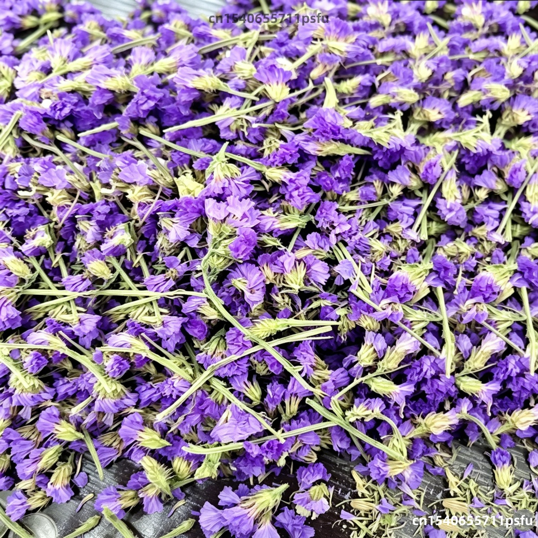 Candle Making Raw Material - Top Natural Dried Forget Me Not