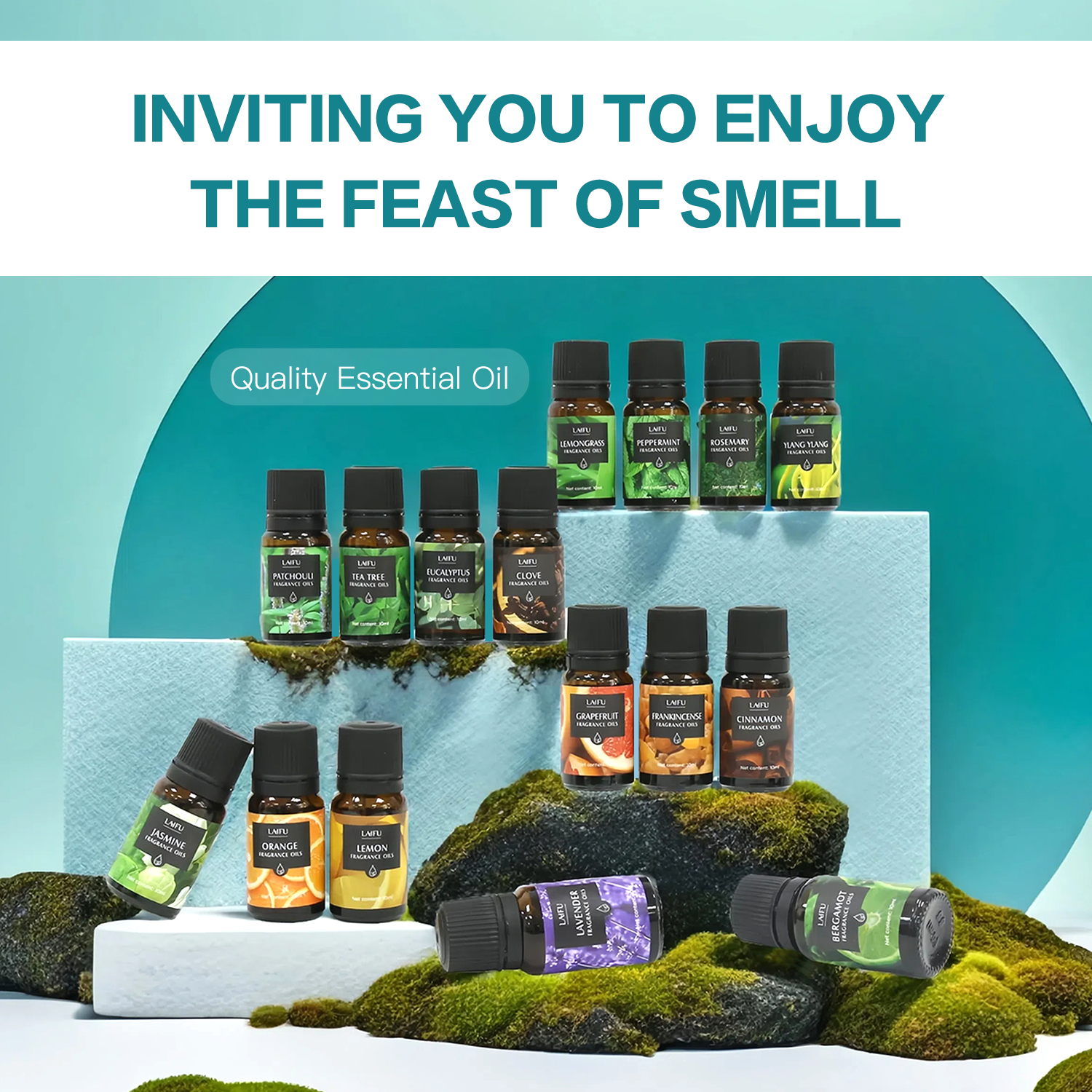 16x10ml Essential Oils Set for - Candle Making Kit reseña y precio