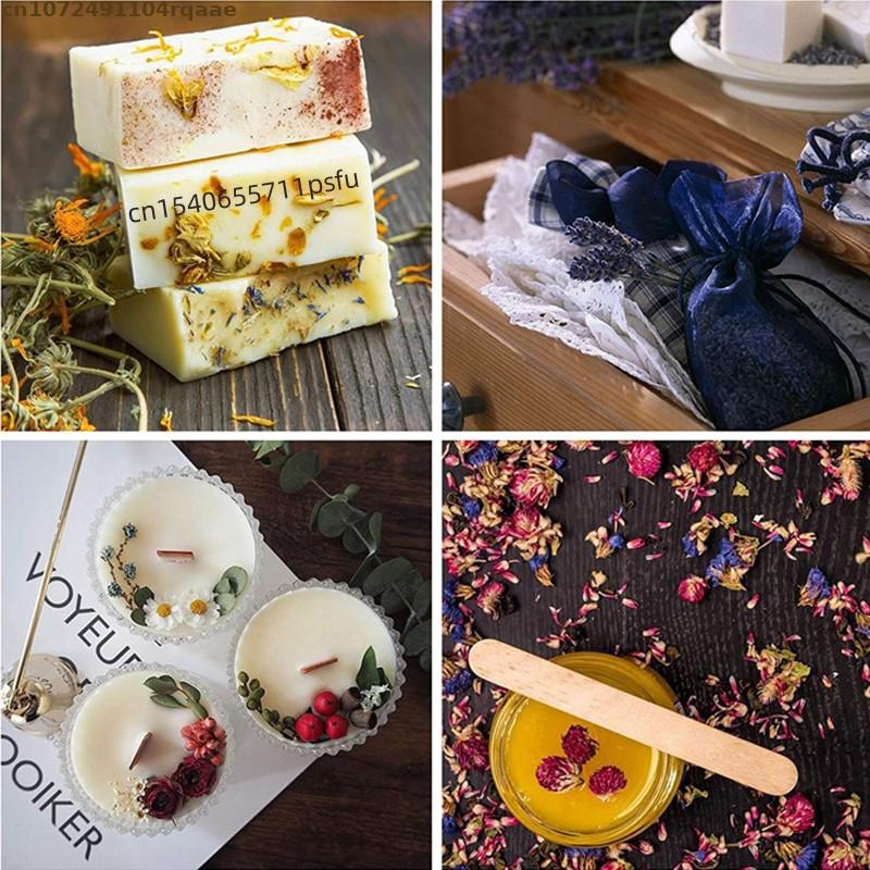 Top Natural Dried Forget Me No - Candle Making Raw Material reseña y precio